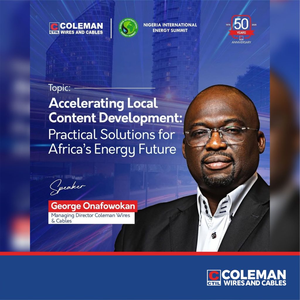 George Onafowokan Shares Bold Vision for Africa’s Energy Future at NIES 2025